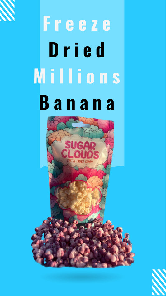 Freeze Dried – Millions Banana